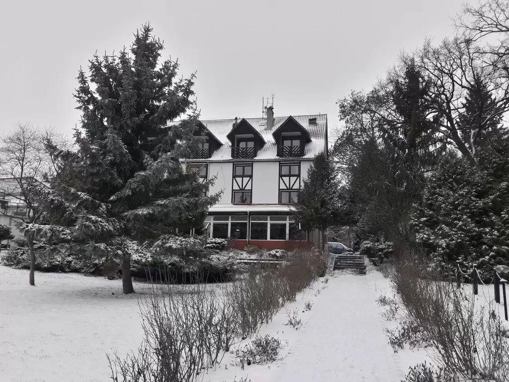 5.&nbsp;Hotel Star Dadaj***&nbsp;- Oferta świąteczna