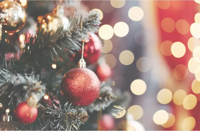 7. Hotel Aurora Family & SPA****&nbsp;- Wigilijny zestaw dla firm