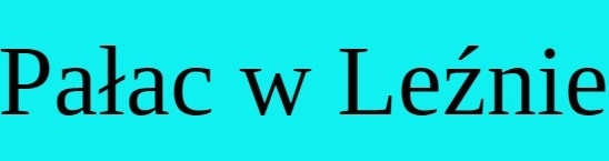 Logo Pałac w Leźnie***